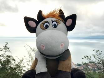 Chloé &amp; friends